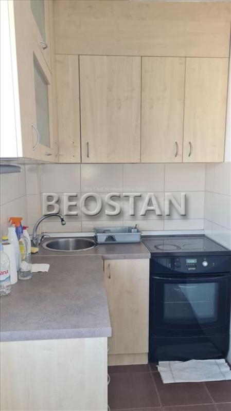 Novi Beograd - Opstina #65061