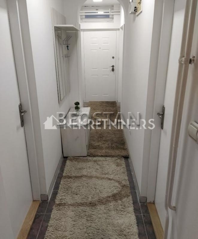 Zemun - Nova galenika #65176