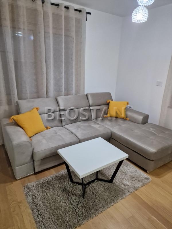 Izdavanje stanova Beograd - Novi Beograd