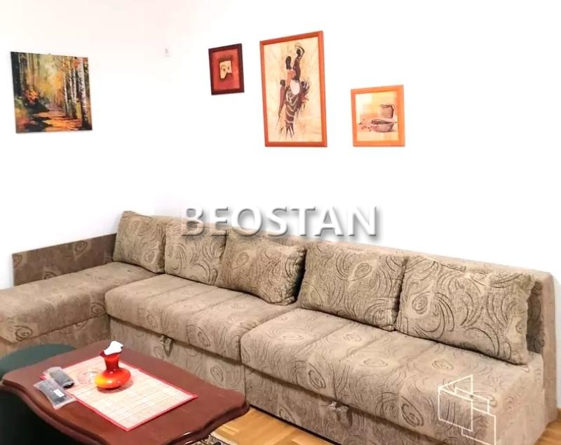 Izdavanje stanova Beograd - Novi Beograd