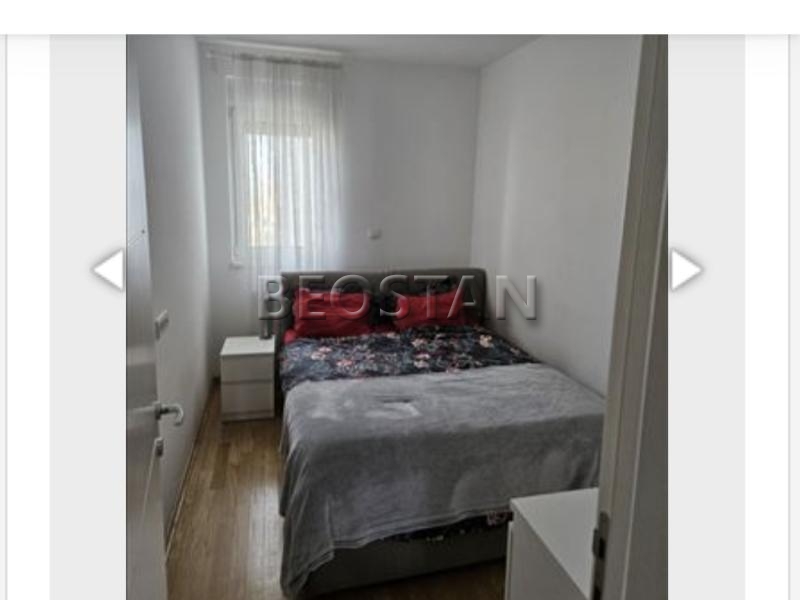 Zemun - Zemun #65299