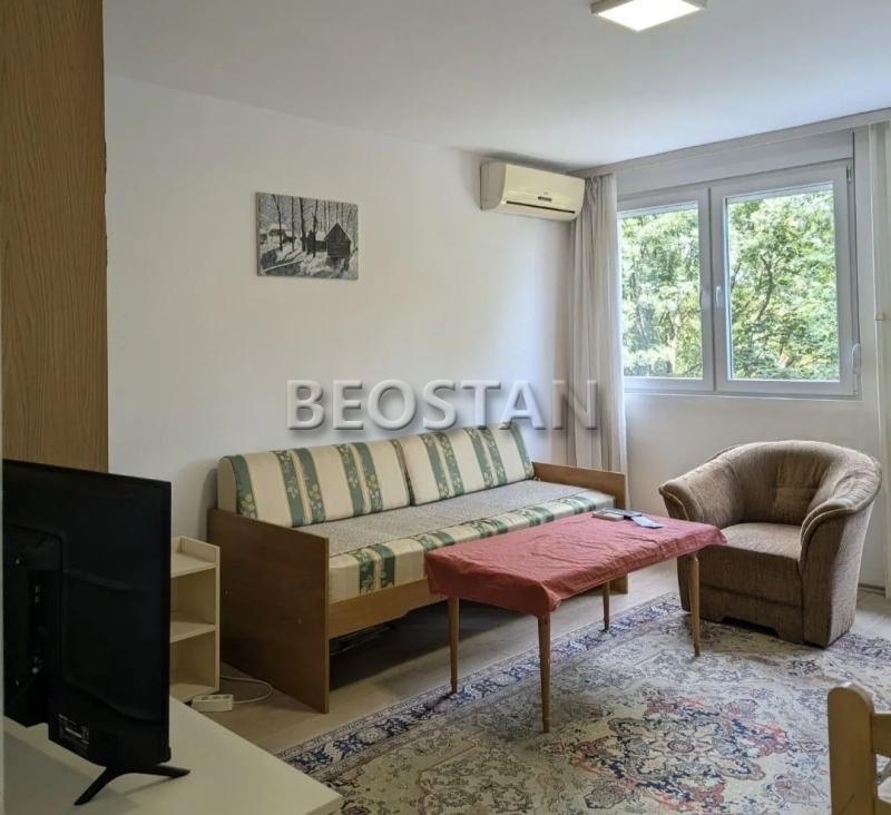 Izdavanje stanova Beograd - Novi Beograd