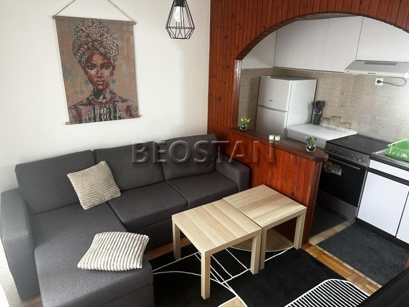 Izdavanje stanova Beograd - Širi centar