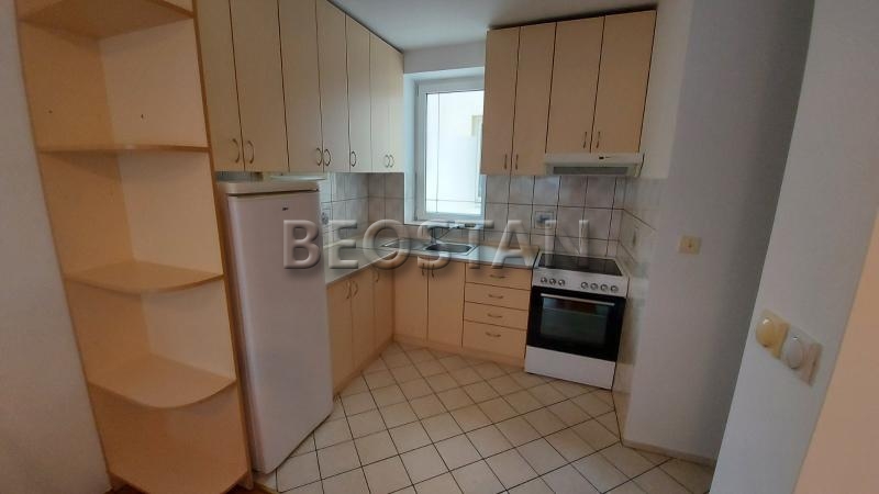 Centar - Lion #65752