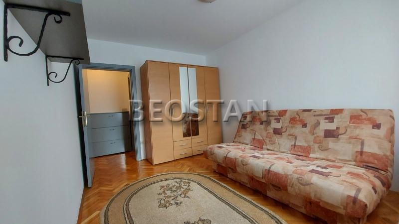 Centar - Lion #65752