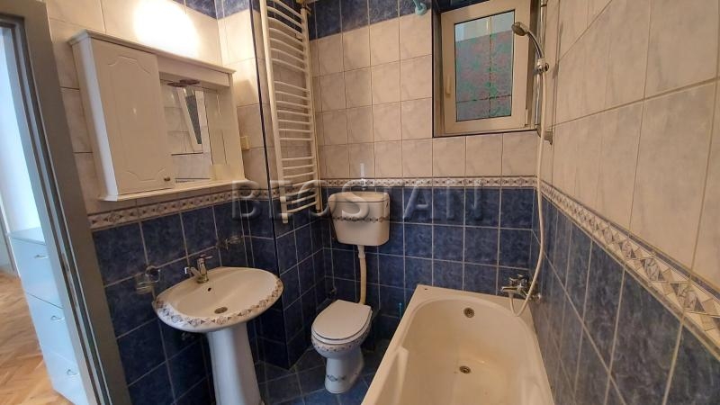 Centar - Lion #65752