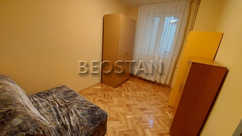 Centar - Lion #65752