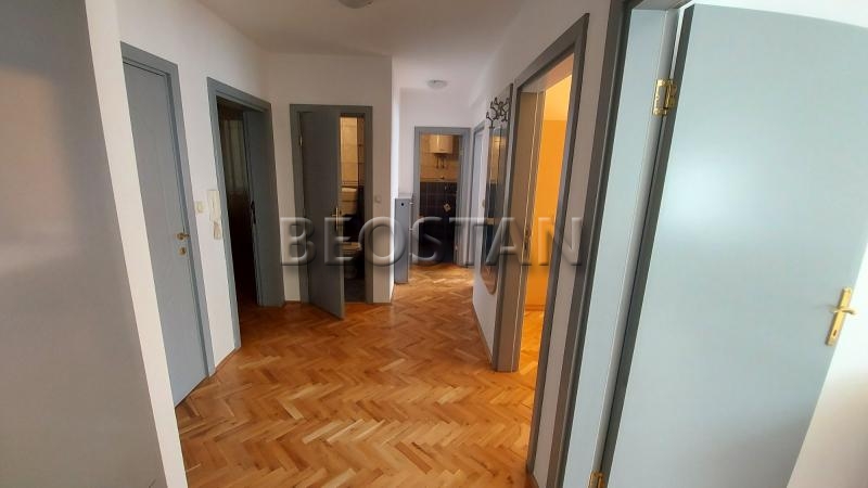 Centar - Lion #65752