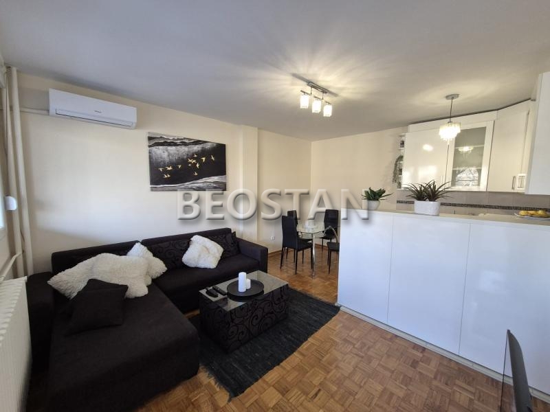 Izdavanje stanova Beograd - Novi Beograd