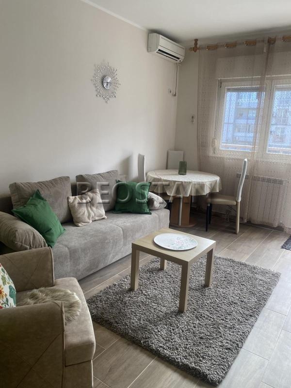 Izdavanje stanova Beograd - Novi Beograd