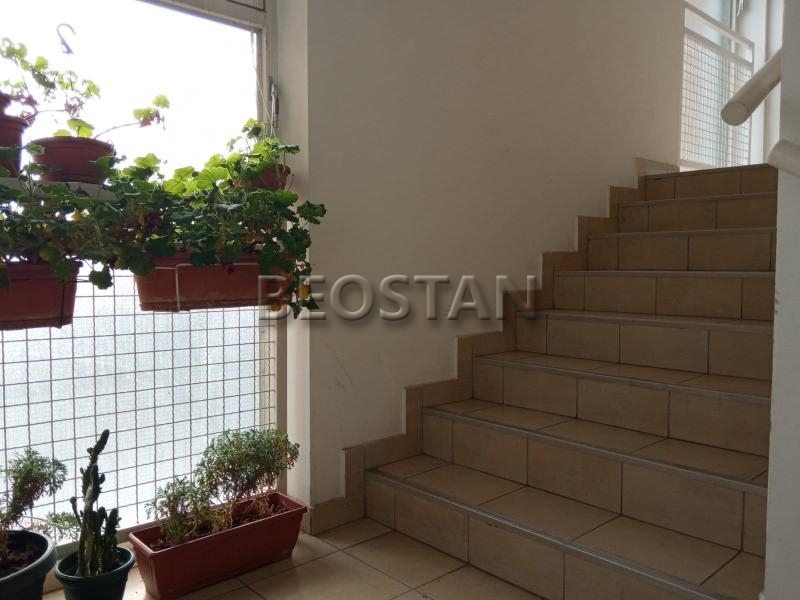 Novi Beograd - Blok 61 #56865