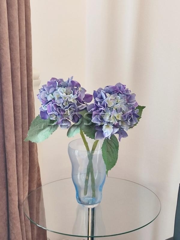 Centar - Palilula #64811