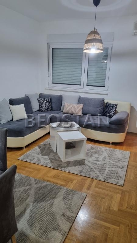 Izdavanje stanova Beograd - Novi Beograd