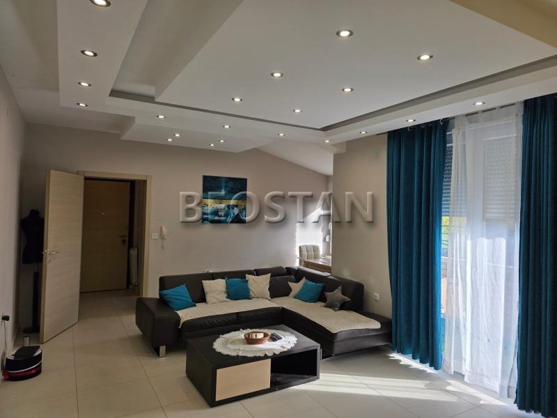 Širi centar - Banjica jajinci #65248