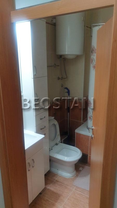 Centar - Lion #65215