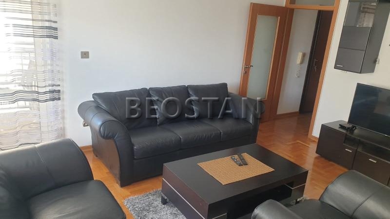 Centar - Lion #65215