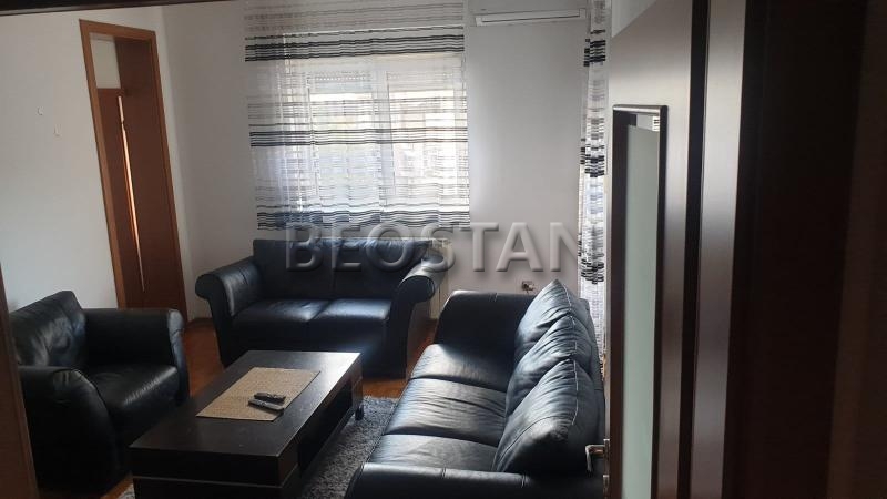 Centar - Lion #65215