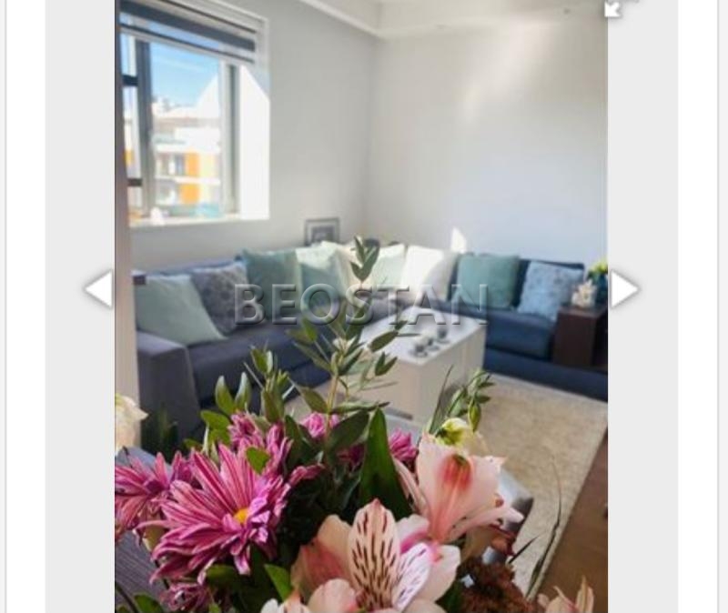 Izdavanje stanova Beograd - Novi Beograd