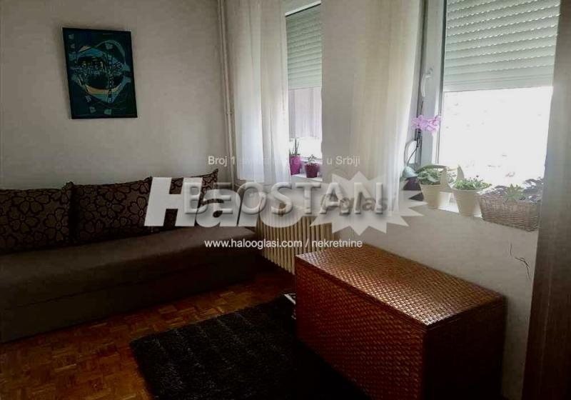 Novi Beograd - Dr ivana ribara #65338