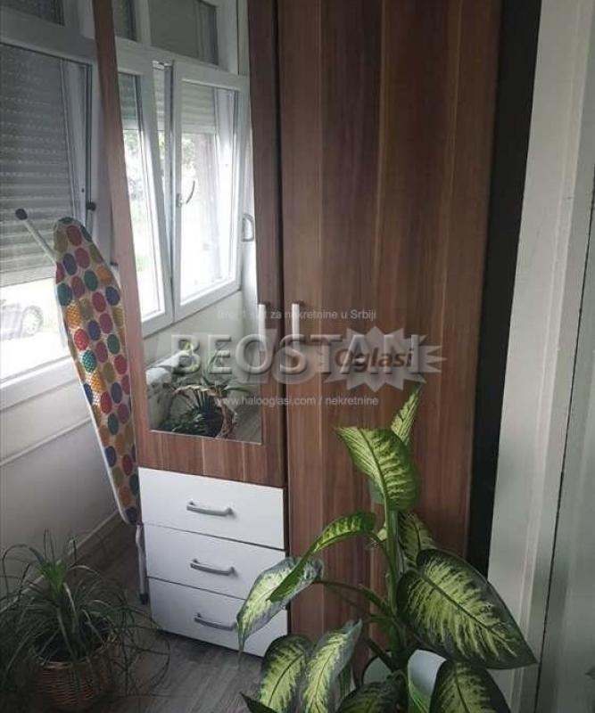 Novi Beograd - Dr ivana ribara #65338