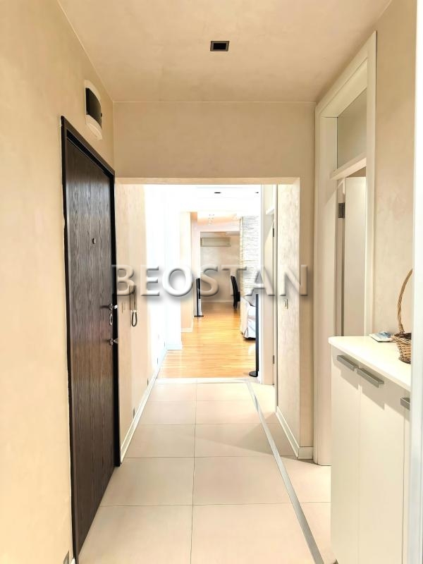 Siri Centar - Voždovac Stepa Stepanović #66629