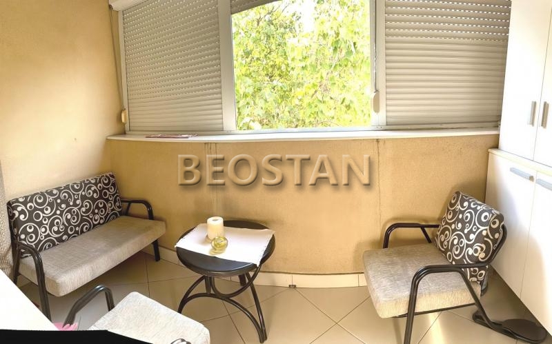 Siri Centar - Voždovac Stepa Stepanović #66629