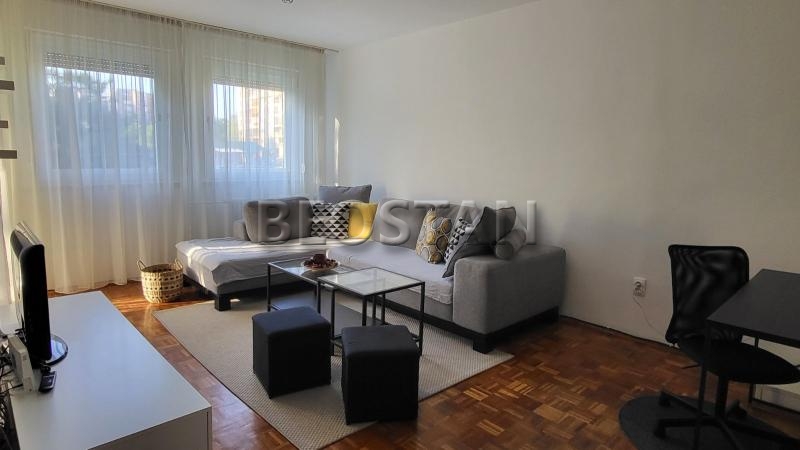 Izdavanje stanova Beograd - Novi Beograd