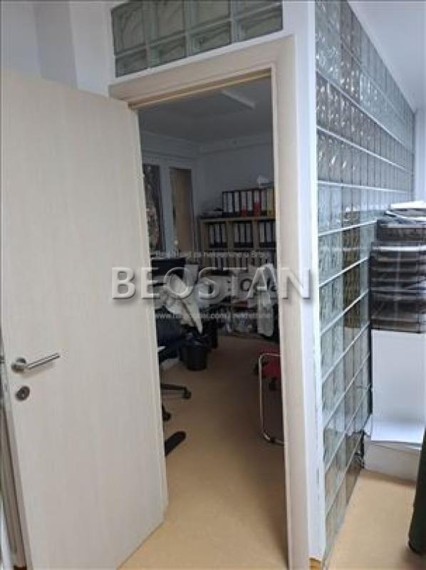 Bežanijska kosa - Bezanijska kosa 1 #65434