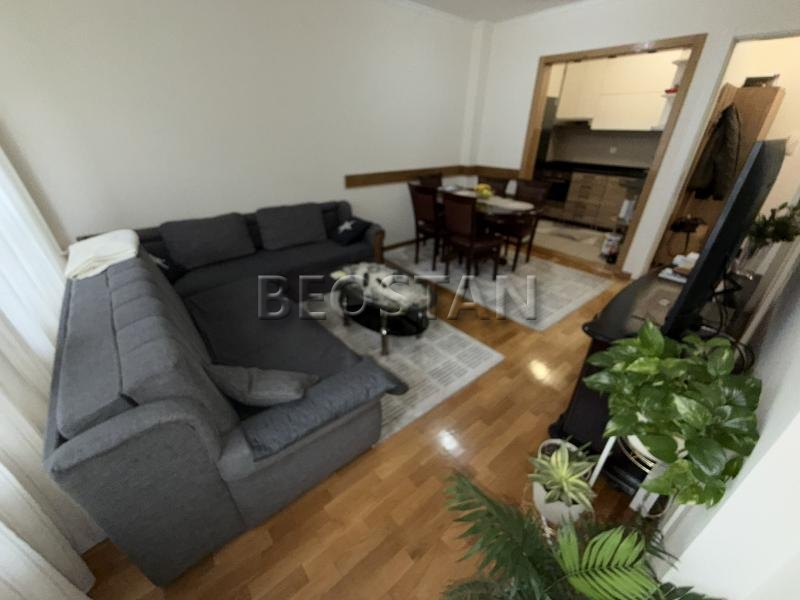 Centar - Zvezdara #65329