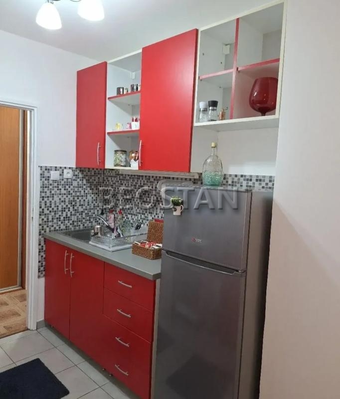 Novi Beograd - Dr ivana ribara #67886