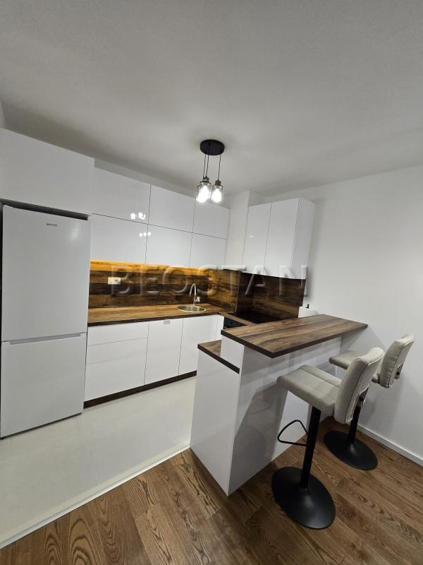 Centar - Palilula visnjicka banja #65055