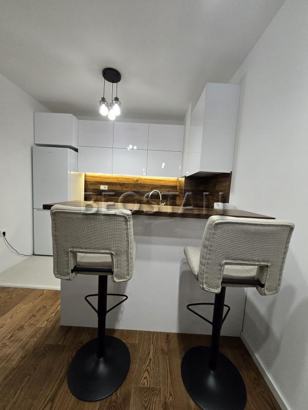 Centar - Palilula visnjicka banja #65055