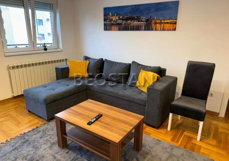 Centar - Zvezdara kluz #65567