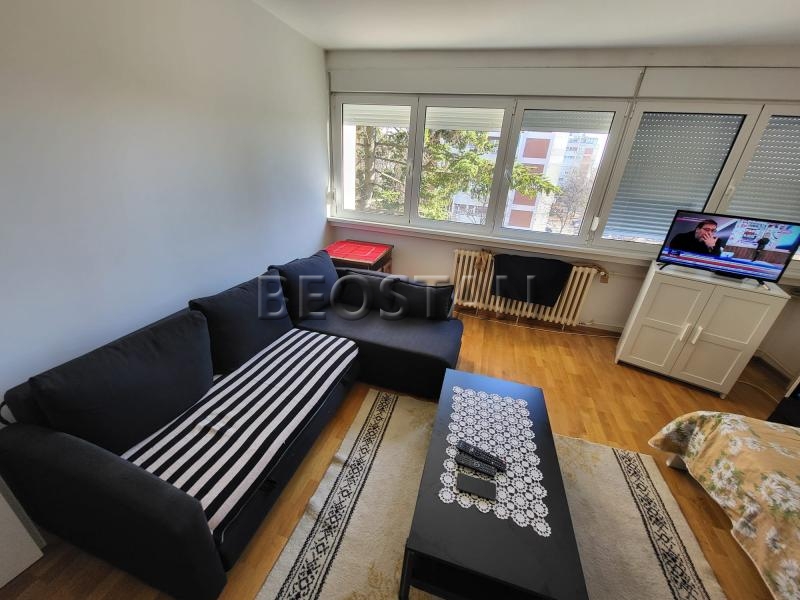 Izdavanje stanova Beograd - Novi Beograd