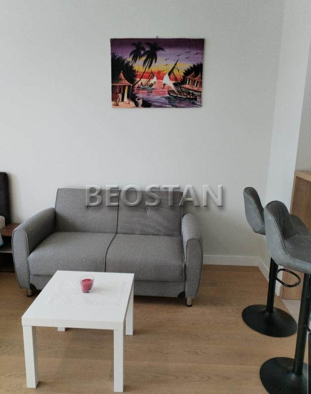 Izdavanje stanova Beograd - Novi Beograd