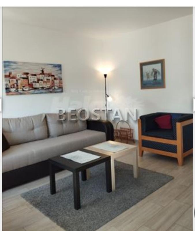 Izdavanje stanova Beograd - Novi Beograd