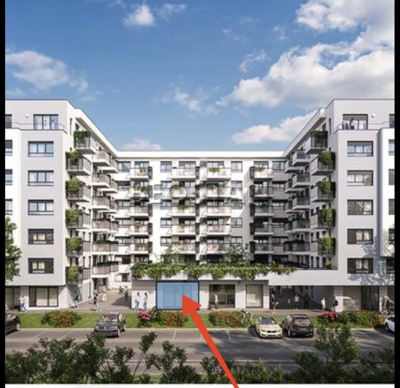 Lokal - Zemun #65983