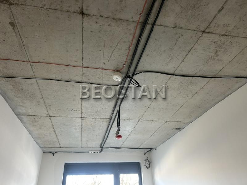 Lokal - Zemun #65983