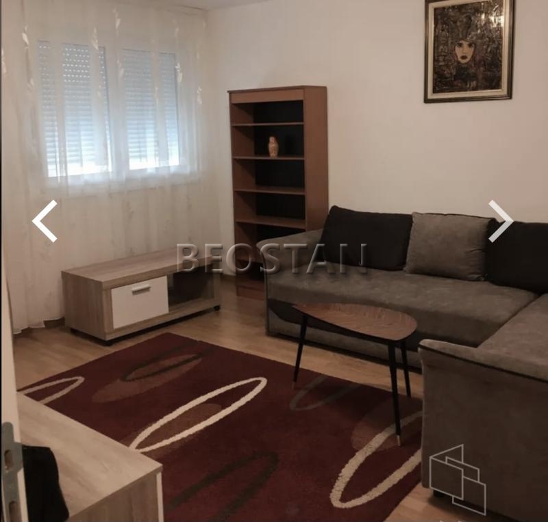 Izdavanje stanova Beograd - Novi Beograd