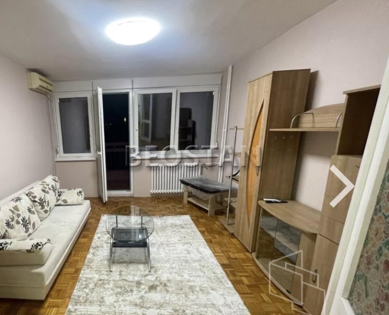 Izdavanje stanova Beograd - Novi Beograd