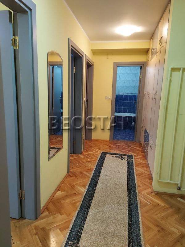 Centar - Lion #65271