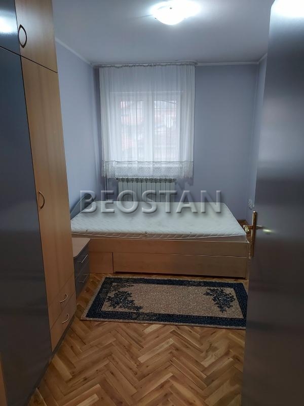 Centar - Lion #65271