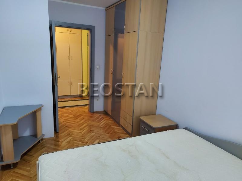 Centar - Lion #65271