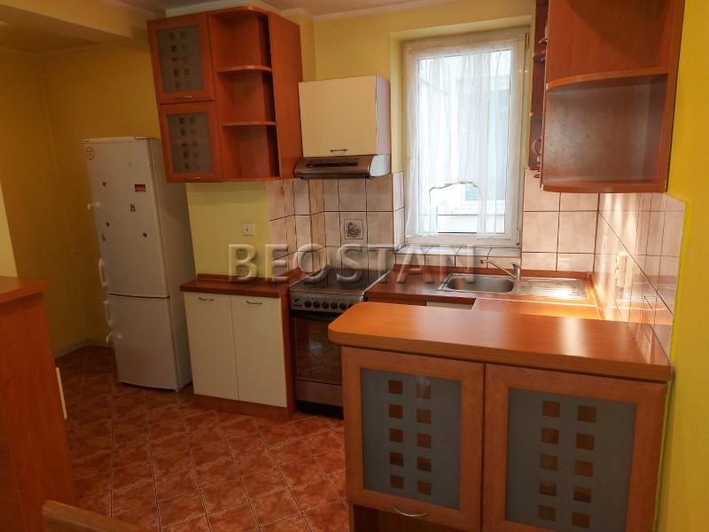 Centar - Lion #65271