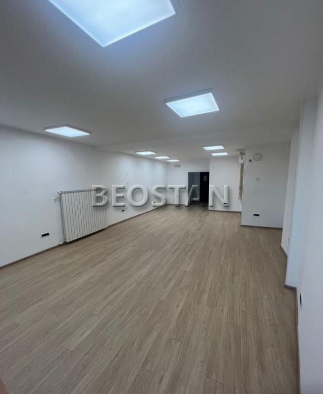 Lokal - Skupstina #66038