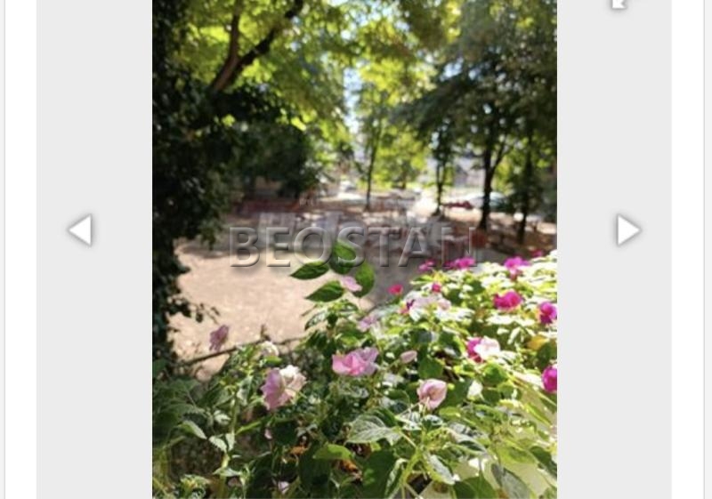 Novi Beograd - Bezanija #65148