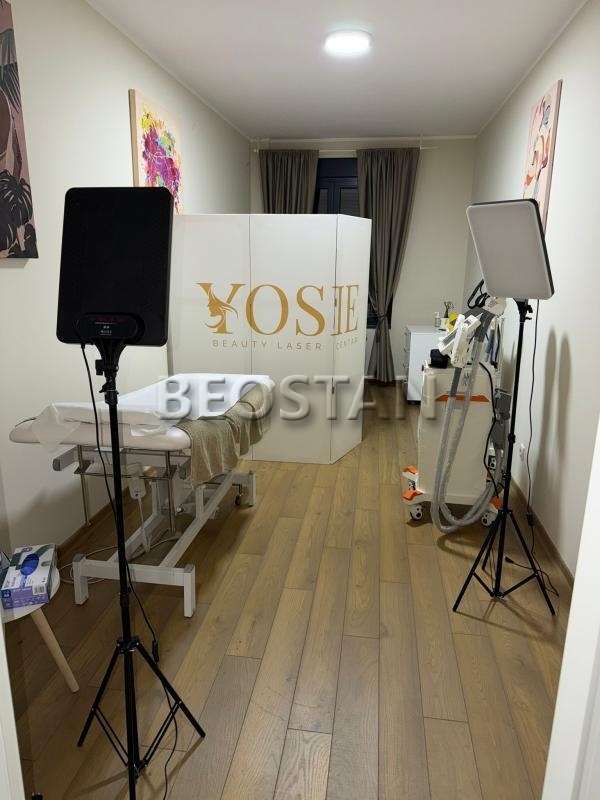 Centar - Djeram lion #65740