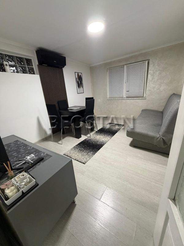 Širi centar - Dedinje #66737