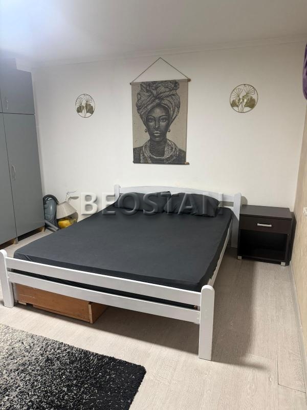 Širi centar - Dedinje #66737