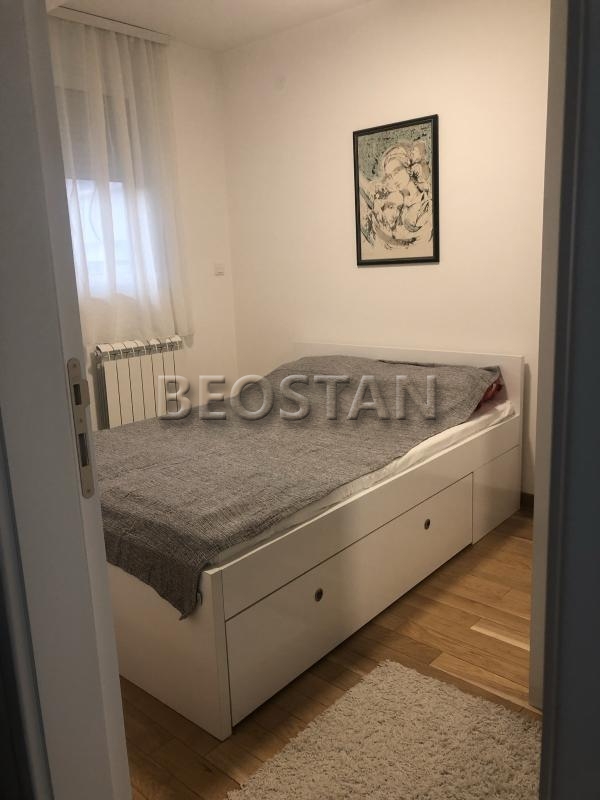 Centar - Palila vuk zira #68728